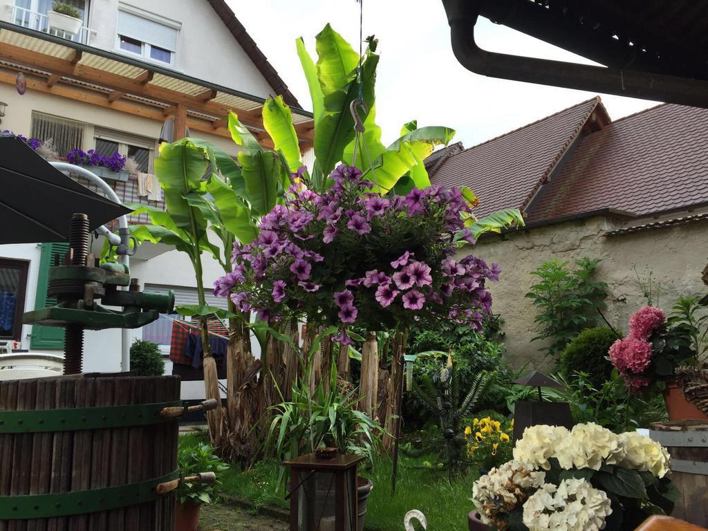 Haus Gisela Endingen am Kaiserstuhl Exterior foto