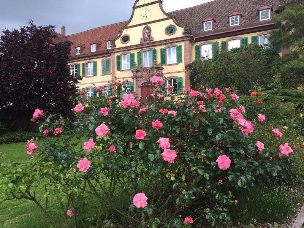 Haus Gisela Endingen am Kaiserstuhl Exterior foto